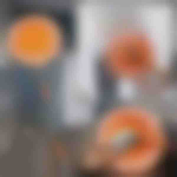 360 laipsnių besisukanti reguliuojama valymo šluostė | CORALMOP