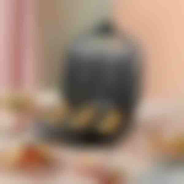 Spurgų kepimo aparatas | DONUTPRO
