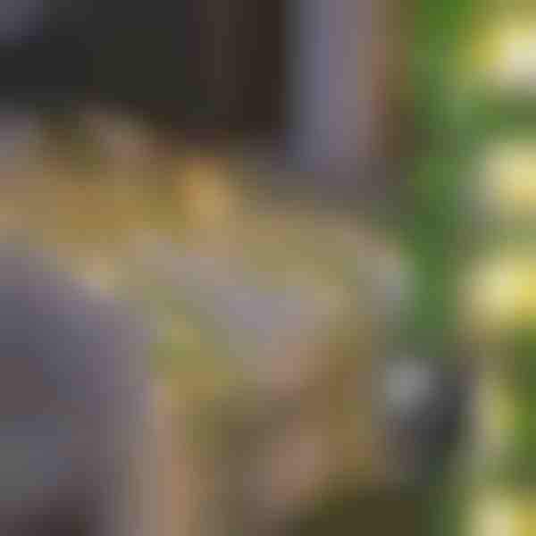 Saulės energijos lemputės su dirbtiniais gebenės lapais (5 m) | LEAFGLO