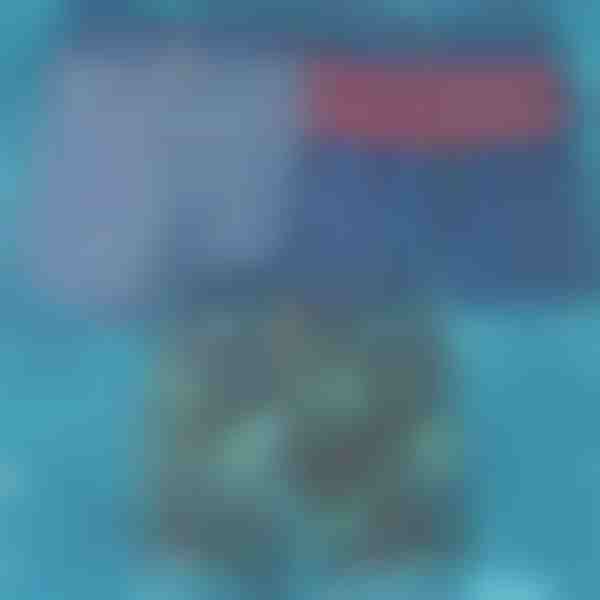 Greitai džiūstančios maudymosi trumpikės | TOGGIES