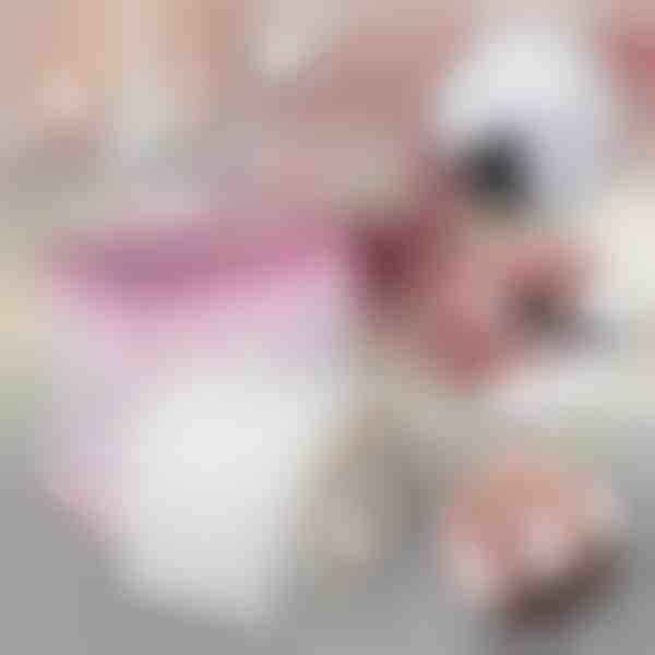 Nagų tvirtinimas stiklo pluošto šilko plėvele | EZNAIL