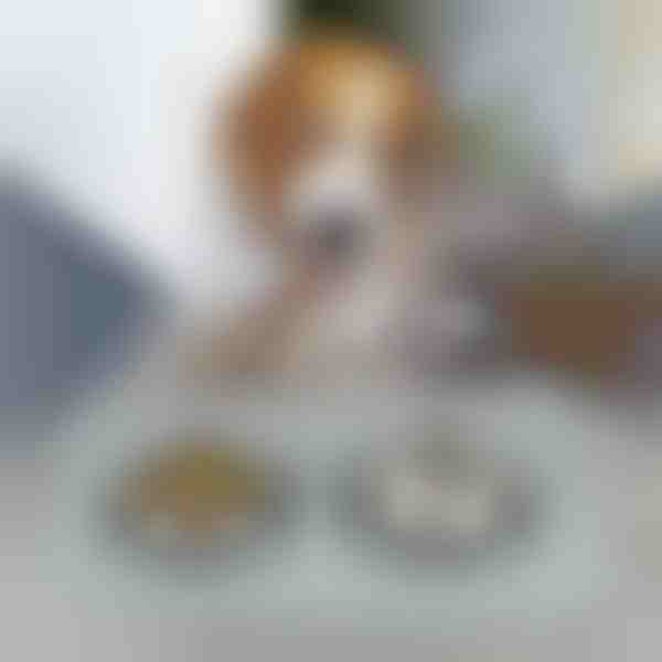 Kilimėlis naminių gyvūnėlių šėrimui | KIBBLEMAT