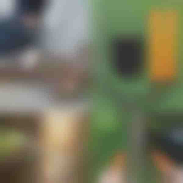 Nešiojamasis pjūklas su rankenomis | TREKSAW