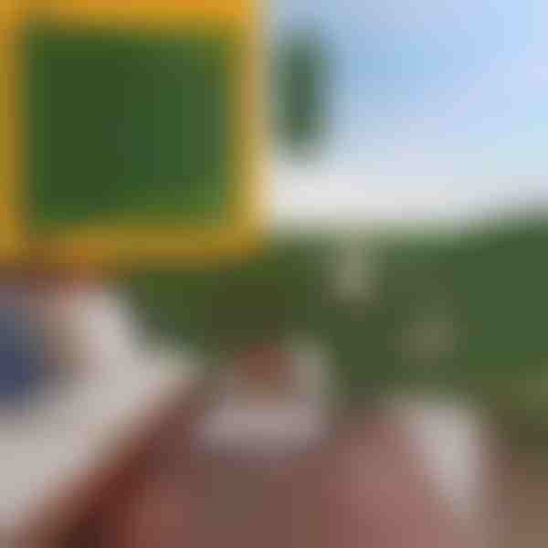 Dirbtinių lapų tvorelė-uždanga | LEAFPANEL