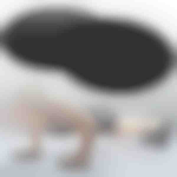 Juosmens treniruočių slystantys diskai (2 vnt.) | COREGLIDE