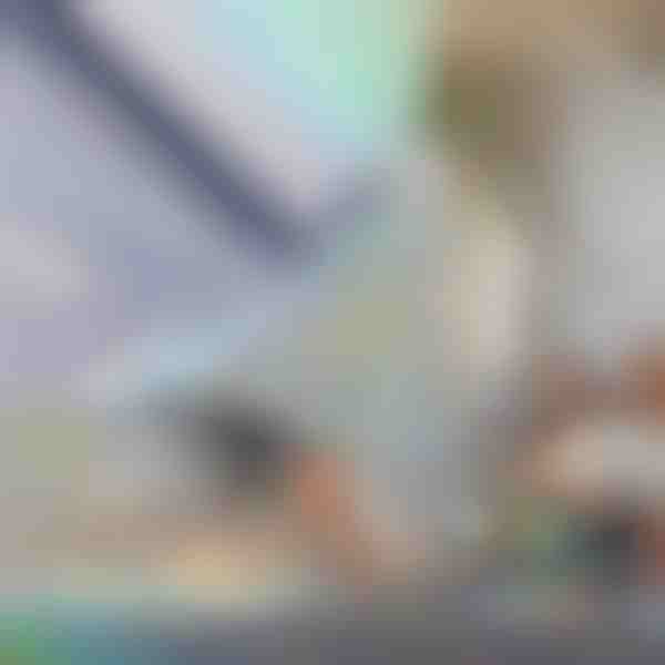 Dekoratyvinė ir privatumą sauganti langų plėvelė | PRISMWRAP