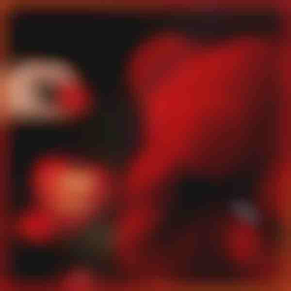 Meilės kalba dovanų | LOVEBEAR