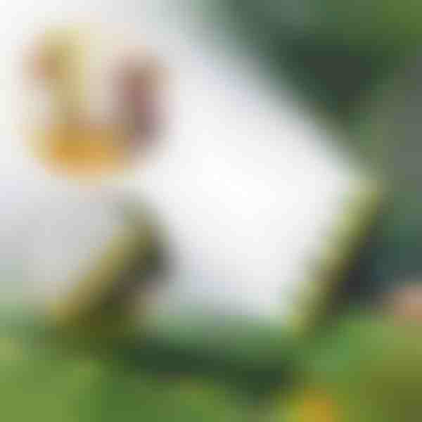 Daug antgalių turintis žarninis purkštuvas | SPRAYMASTER