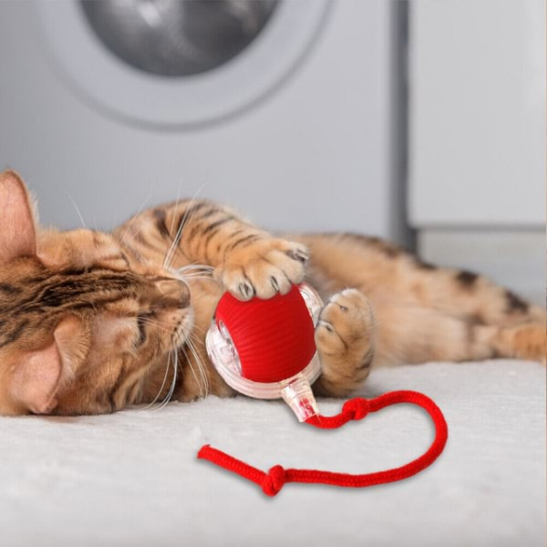 Žaislas naminiams gyvūnėliams, kuris juda nuo prisilietimo | GATOPLAY