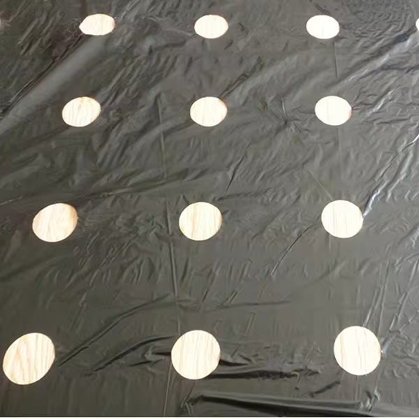 VEGUARD13800__4308448e-1