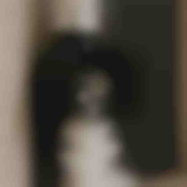 Galingas ištraukiamasis ventiliatorius švariam orui | VENTORIS