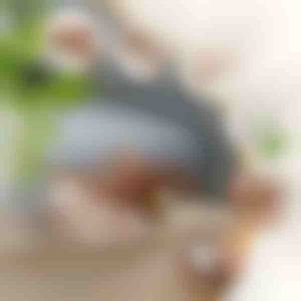 Interaktyvus plazdantis žaislinis paukštis | CHIRRCAT