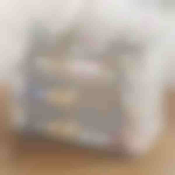 Permatomas sukraunamas batų laikymo dėklas | DURASTOR